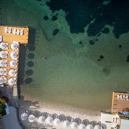 ホテル Avantgarde Refined 5*