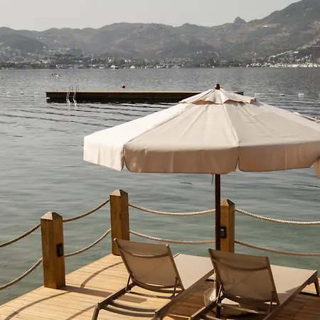 Avantgarde Refined ホテル