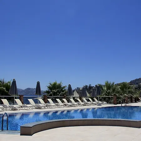 Hotel Avantgarde Refined 5*