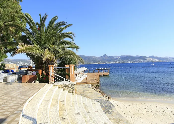 Avantgarde Refined Yalıkavak