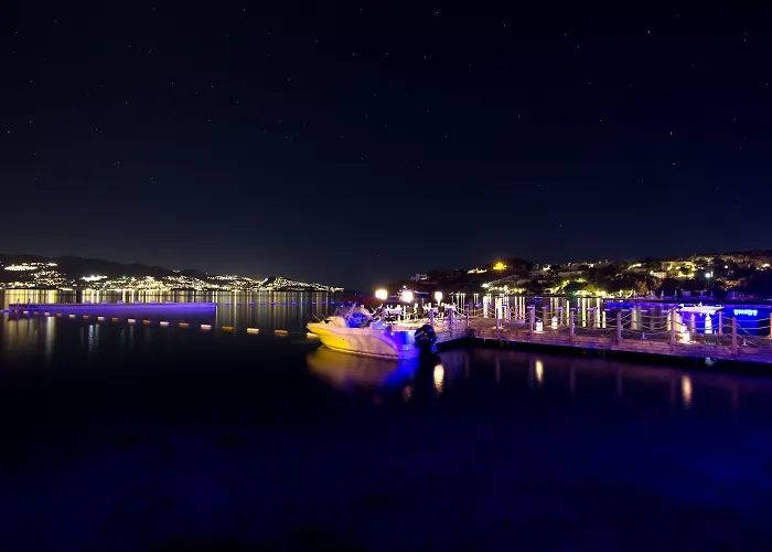 Hotell Avantgarde Refined